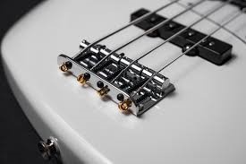 Fretted vs. Fretless Bass Guitar - What Are The Pros And Cons