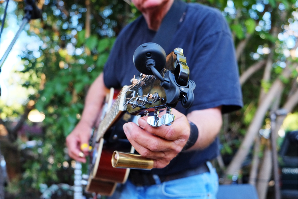 The electric guitar influenced all genres of music from blues to rock to pop