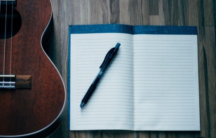 what is a song critique